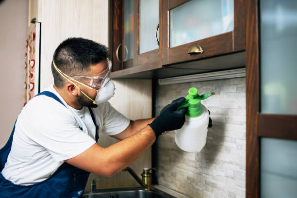 Trusted Decatur, TN Pest Control Experts