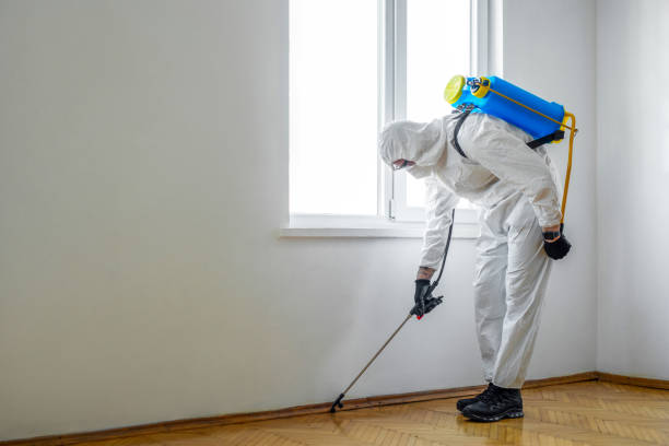 Best Local Pest Control Services  in Decatur, TN
