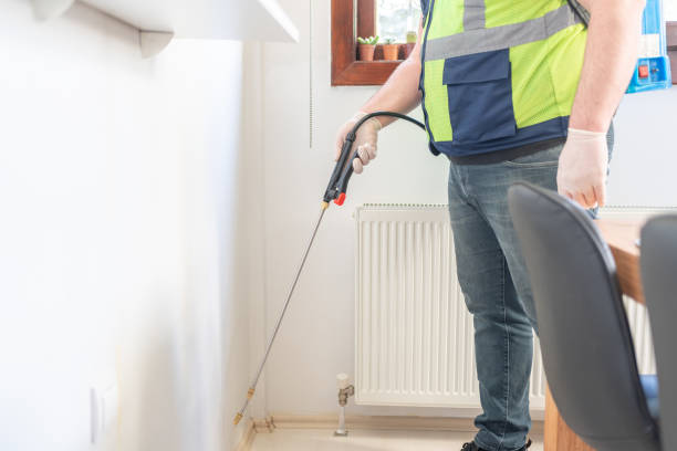 Best Termite Control Services  in Decatur, TN