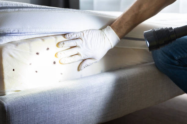 Best Commercial Pest Control Services  in Decatur, TN