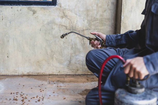 Best Affordable Pest Control Services  in Decatur, TN